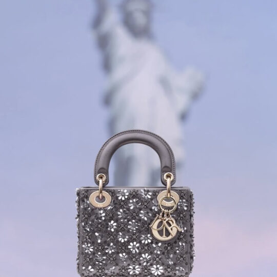 Dior shimmer bag